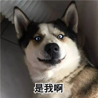 21岁の日本女大学生，哦吼！~ - 炫图天下