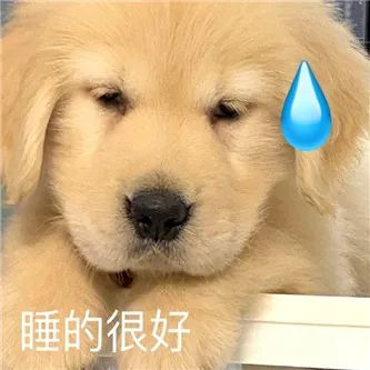 清纯又欲の韩国网红！ - 炫图天下