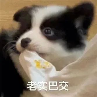 这个啦啦队，完美啊！ - 炫图天下