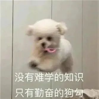 这台妹，什么水平？ - 炫图天下
