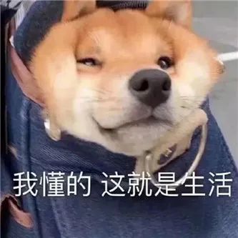 小心！怕你扛不住… - 炫图天下