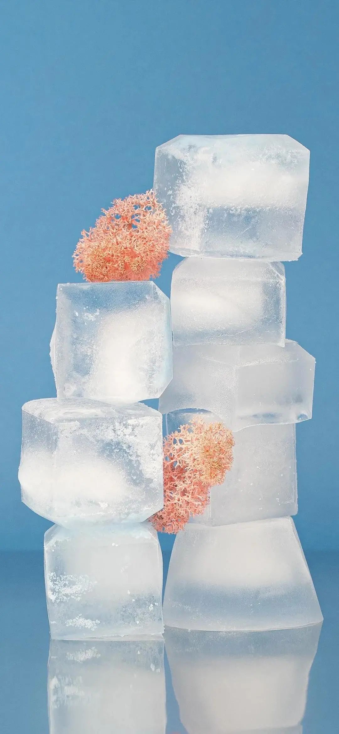 手机壁纸 | 维持体面的生活哪有那么容易 - 炫图天下