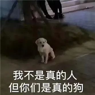 一个大网红！ - 炫图天下