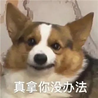 一个字：___ - 炫图天下