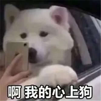 大大大众网红！ - 炫图天下