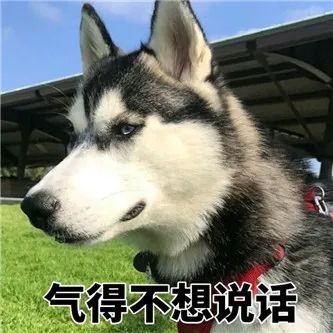 樱花妹，好吃吗？？ - 炫图天下