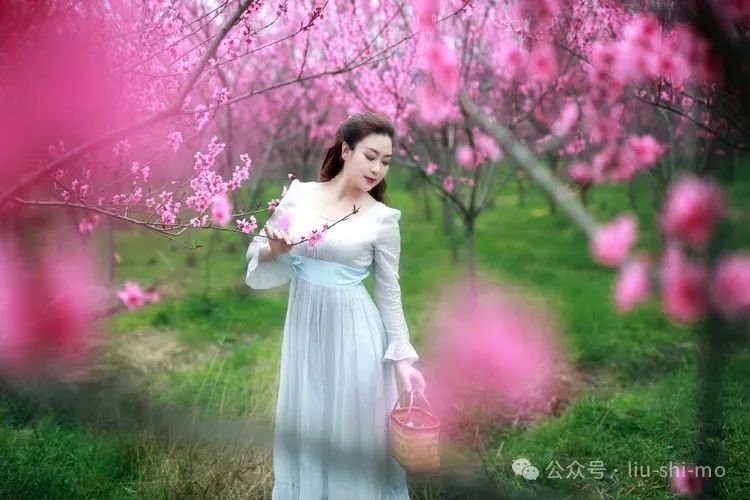 中年姐姐你最美，和花朵一起合影吧，拍照优雅显年轻 - 炫图天下