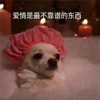 越南の童颜巨！ - 炫图天下