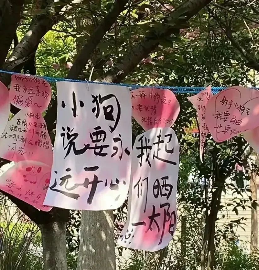 “度娘都搜不到的走心文案” - 炫图天下