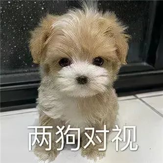 这是什么车？ - 炫图天下