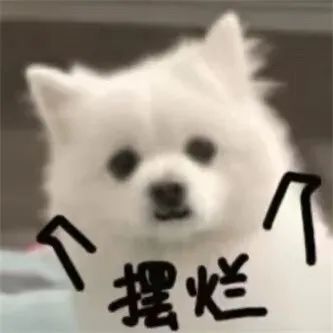 健身网红，这身材，可以啊！！ - 炫图天下