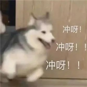 小有名气の健身网红！ - 炫图天下