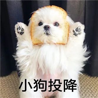 挺 拔 ！ - 炫图天下
