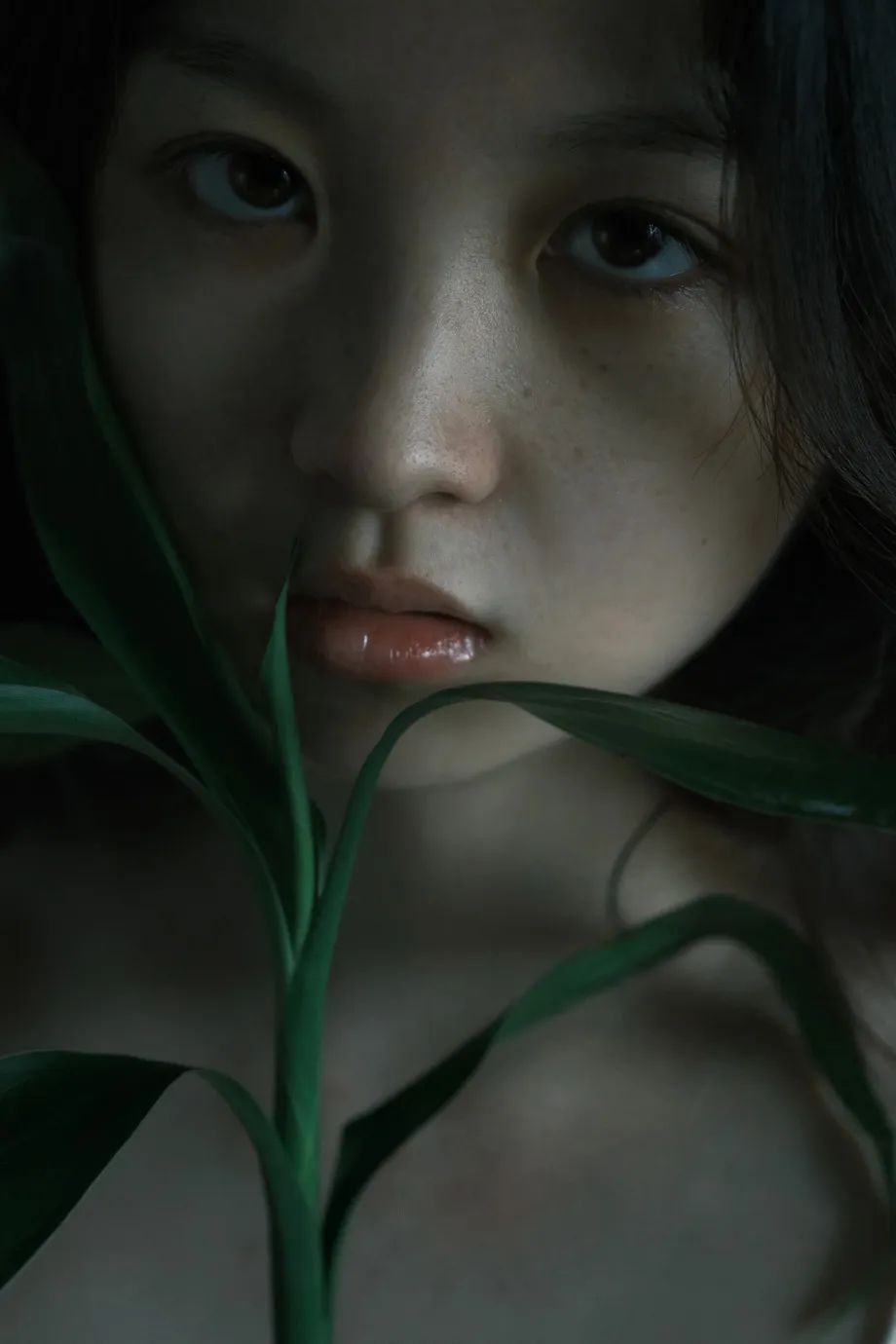 枯萎 摄影师 是瑶Mei - 炫图天下