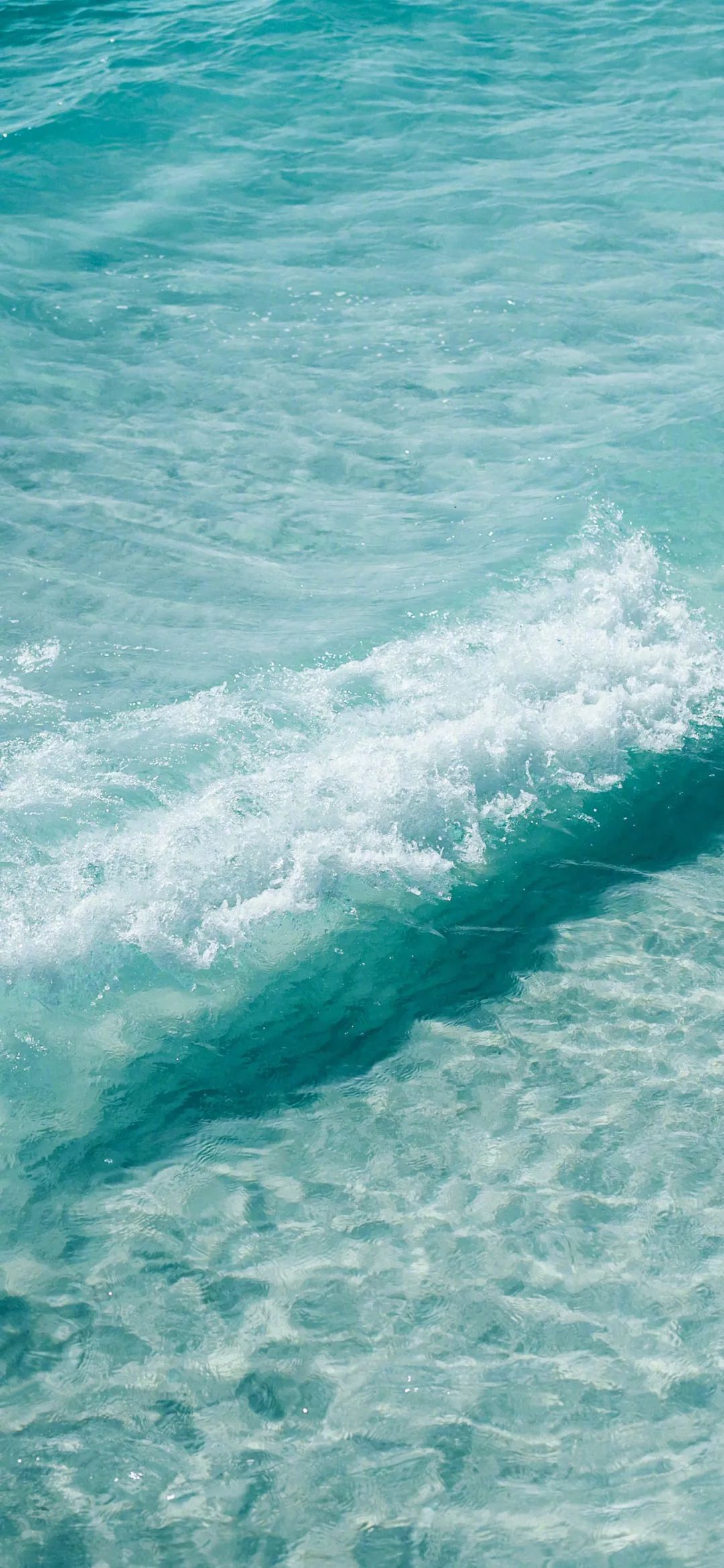 手机壁纸 | 我虔诚合十双手 唯愿你能得到拯救 - 炫图天下