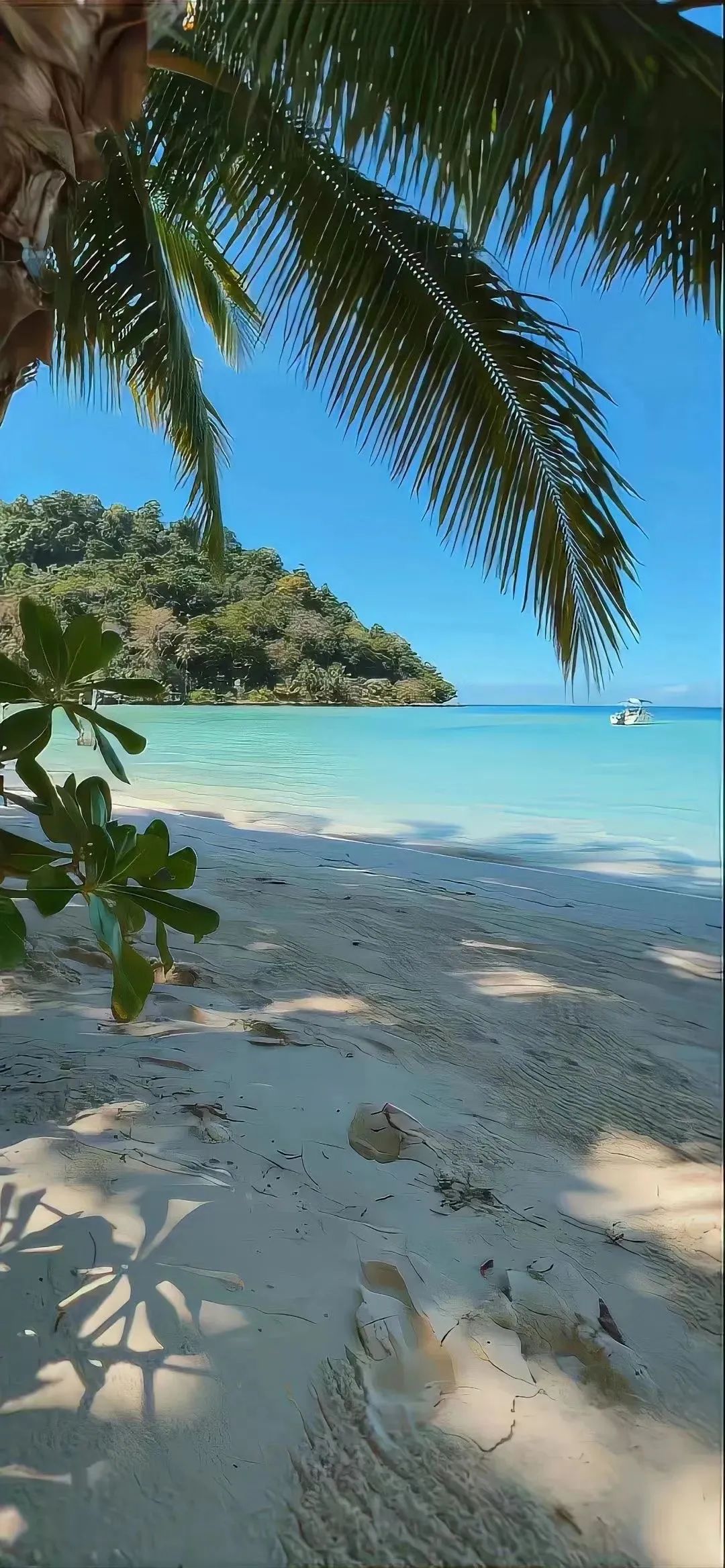 手机壁纸 | 只道是 那些无关风花雪月的相思 说来几人能知 - 炫图天下