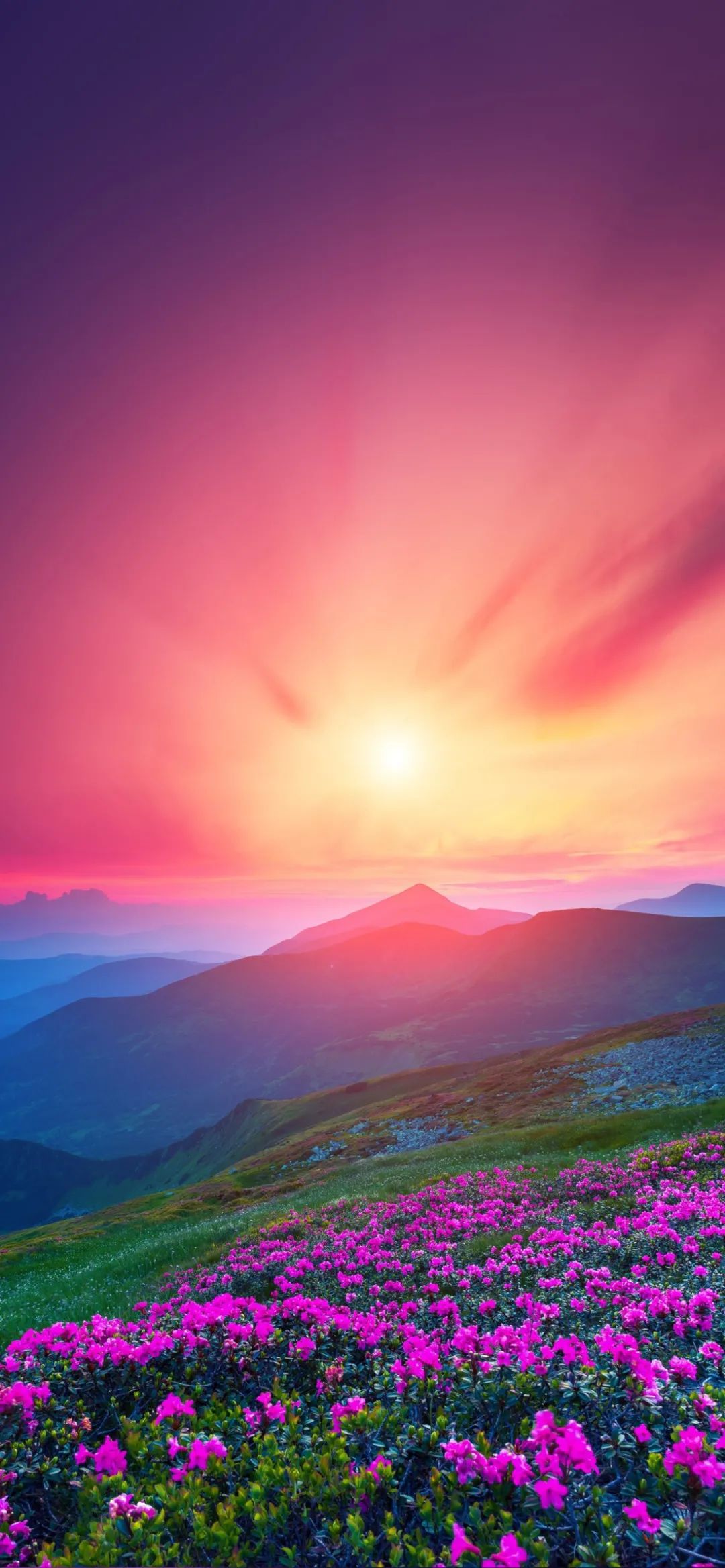 全屏壁纸 | 自己的人生，得自己负责 - 炫图天下