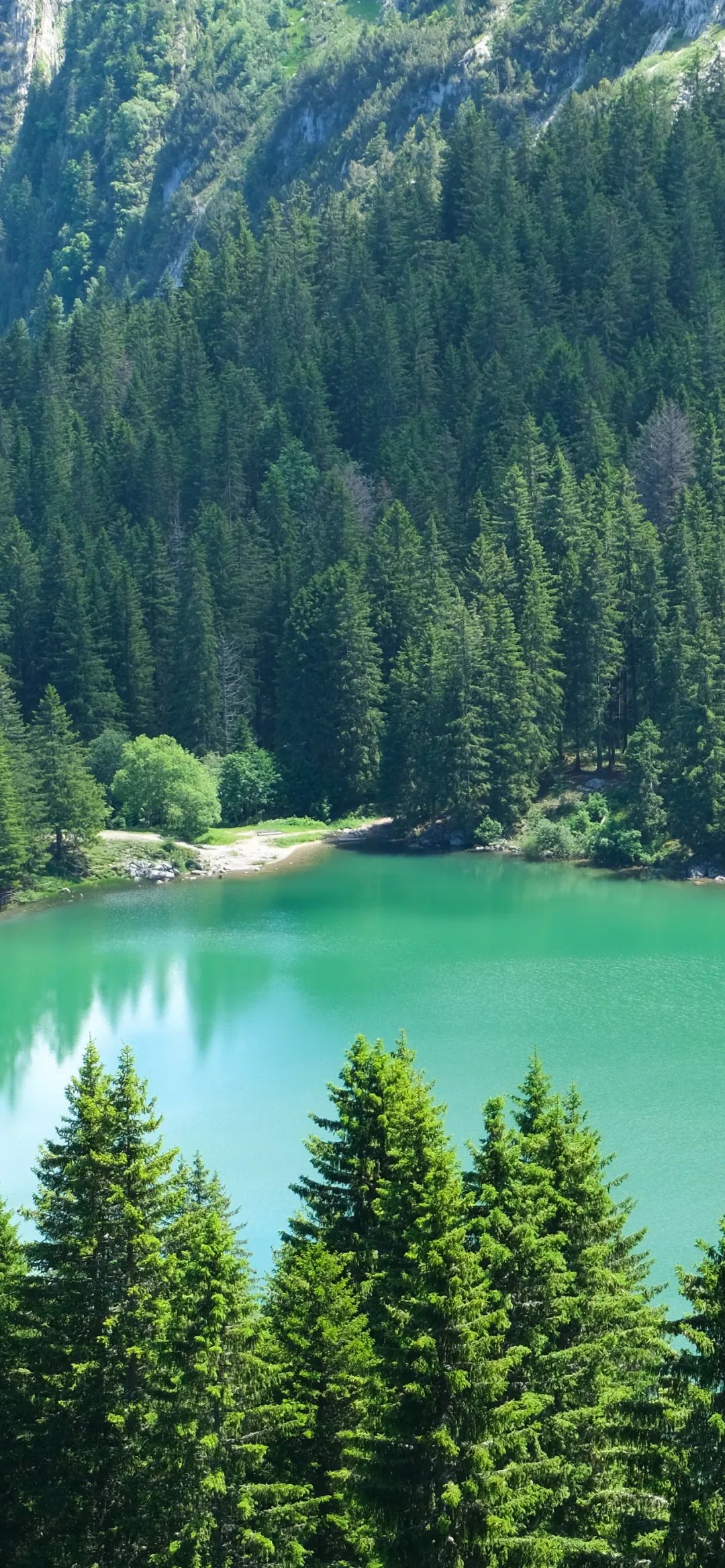 手机壁纸 | 一卷万寿才知 情深何往 天与地浩荡 百年忽回望 - 炫图天下