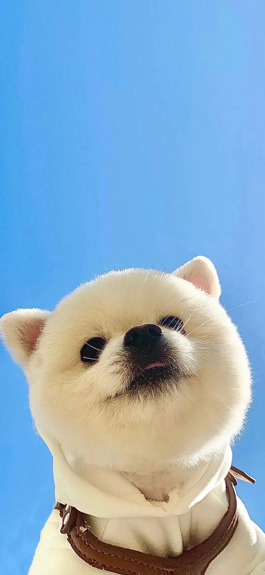 手机壁纸 | 带我走 就算我的爱 你的自由 都将成为泡沫 - 炫图天下