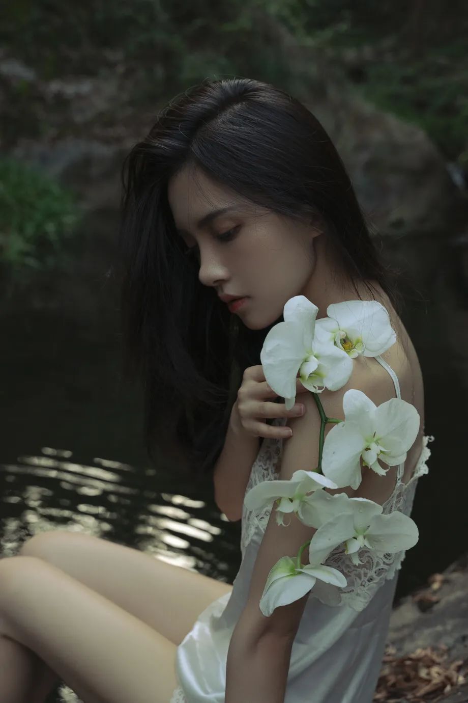 一场梦摄影师 橘秋草 - 炫图天下