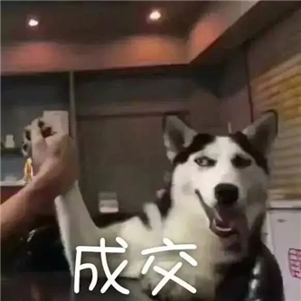 兄弟们，她真的，美妙！ - 炫图天下