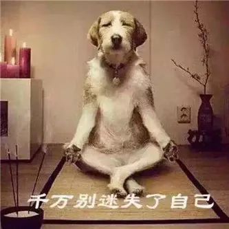 很富有，挺慷慨！ - 炫图天下