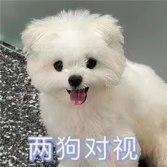 有点像某个明星？ - 炫图天下