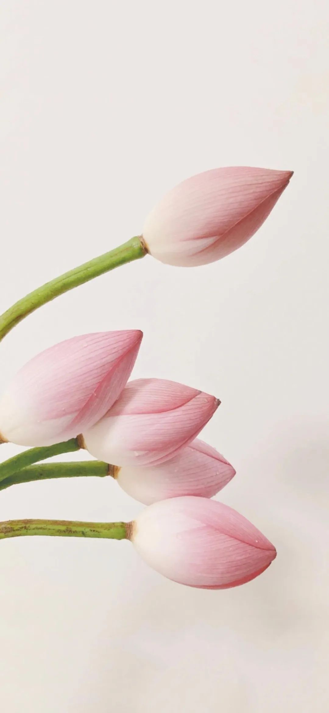 手机壁纸 | 人潮人涌 你不知会去向何地 - 炫图天下