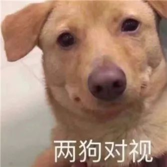啧啧，还得是台妹啊！！ - 炫图天下