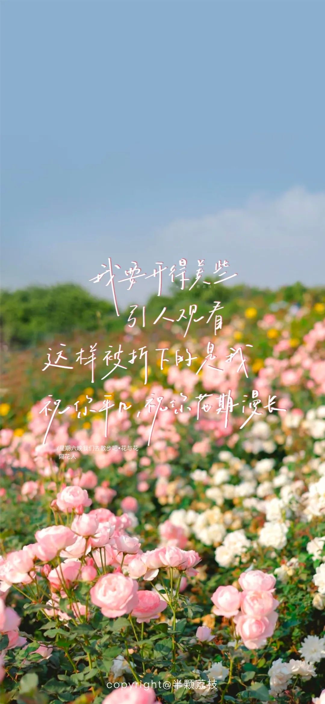 全屏壁纸 | 只要一点点就好 再多陪伴我一点点就好 - 炫图天下