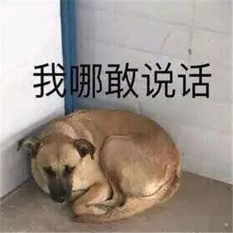 熟女风の网红！ - 炫图天下