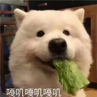 好 腿 ！ - 炫图天下