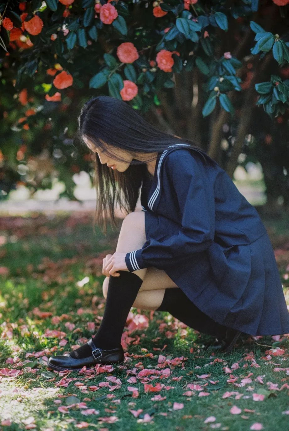 三月山茶花 摄影师 银河忆象 - 炫图天下