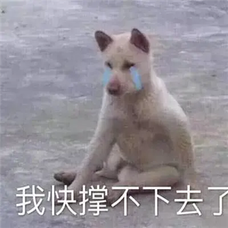还得是台妹啊！！ - 炫图天下
