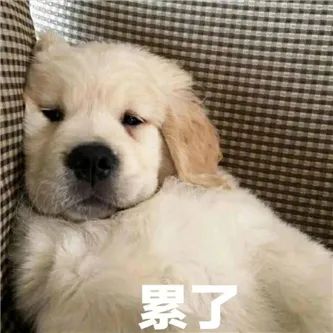 好大的熊熊！ - 炫图天下