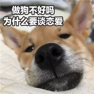 这个模特，身材不错！ - 炫图天下