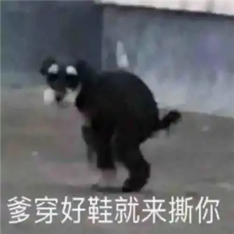 健身网红，真の可以！ - 炫图天下