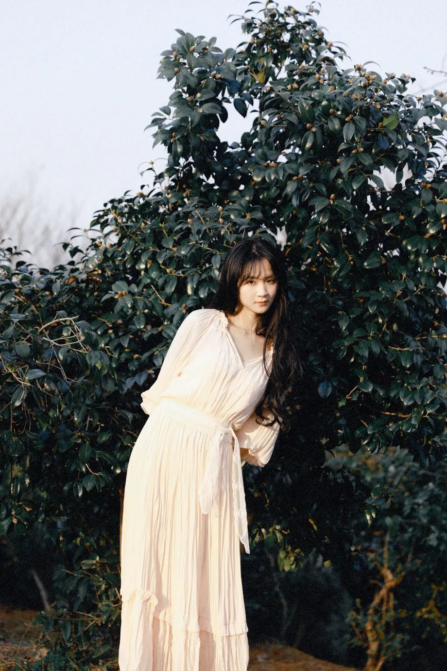 花未荼蘼 摄影师 FuJi藤井树 - 炫图天下