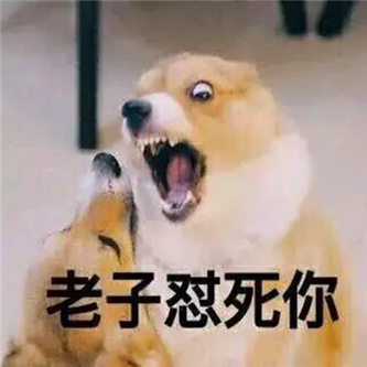 兄弟们，还得是台妹啊！ - 炫图天下