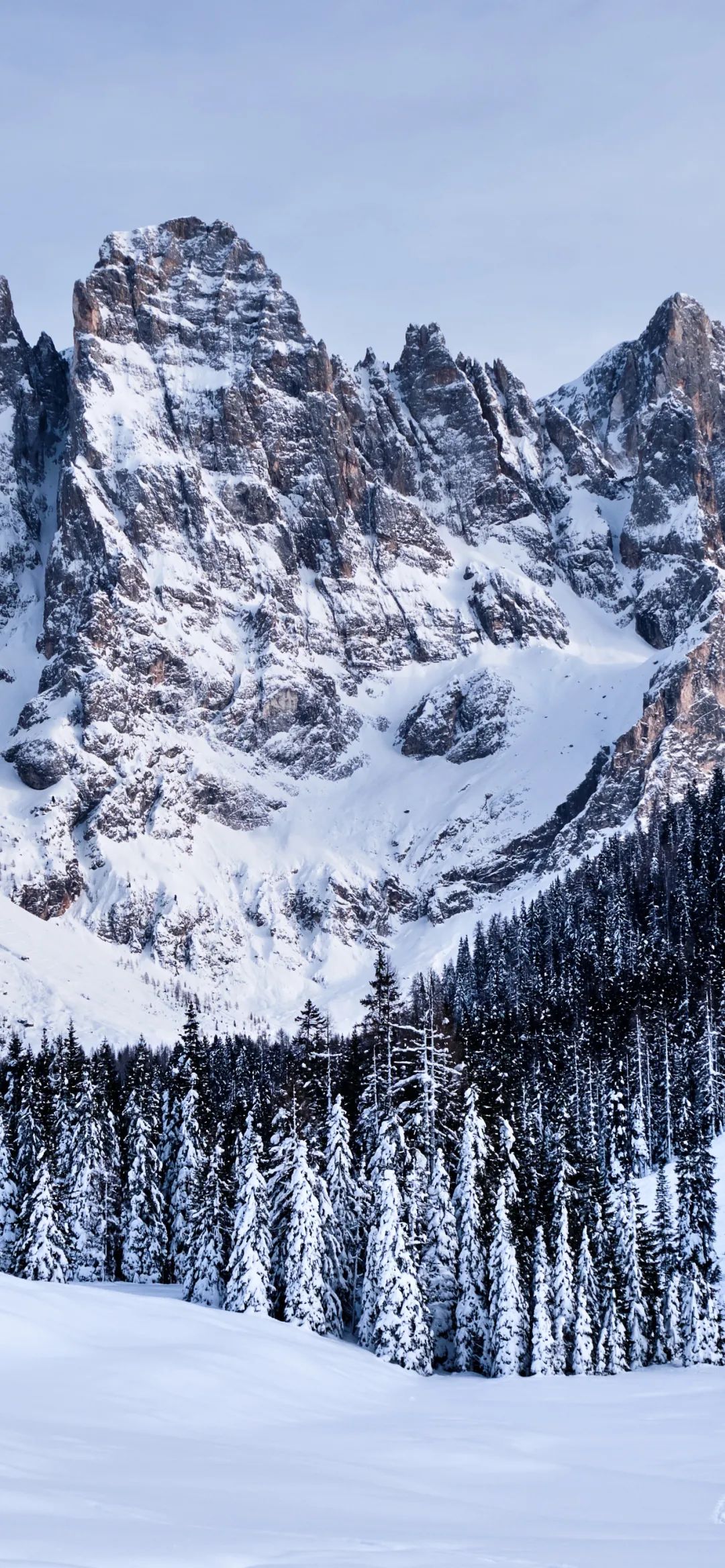 手机壁纸 | 做好当下该做的事 过好当下的每一天 - 炫图天下