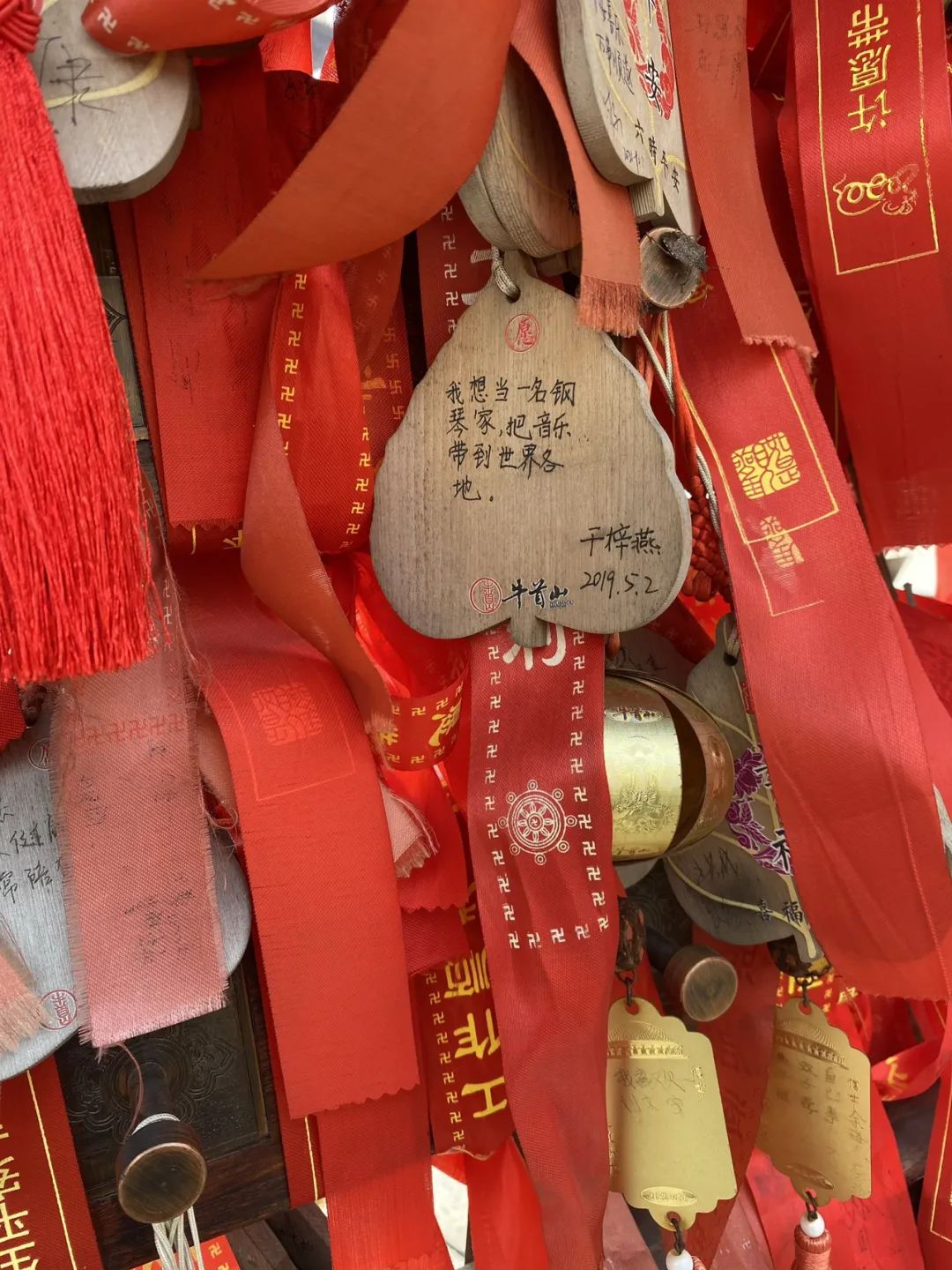 “每天学1点点，信息茧房”002 - 炫图天下