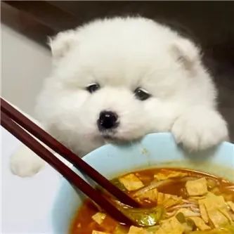 你大你有理！ - 炫图天下