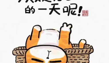 人生歪理，歪的很有道理 - 炫图天下
