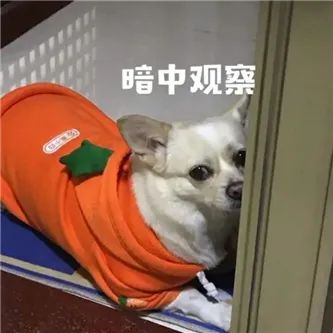 这个台妹，饿不着！ - 炫图天下