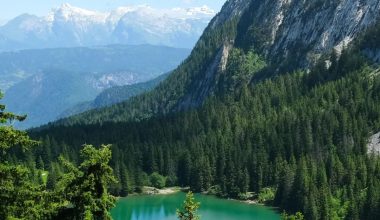 全屏壁纸 | 很想一生花光气力相爱 难逃最终输得慷慨 - 炫图天下