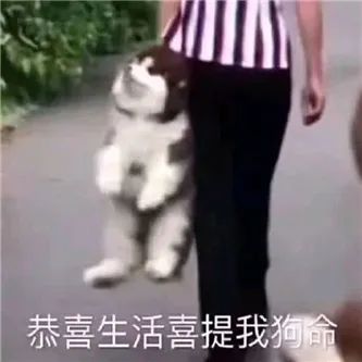 超级の宝藏网红！ - 炫图天下