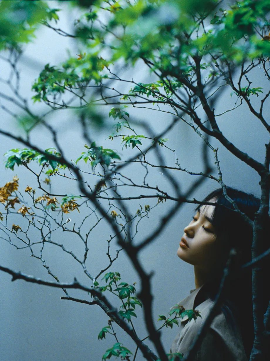 沉浸 摄影师 无限TX - 炫图天下