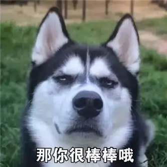 爱了爱了，兄弟们！ - 炫图天下