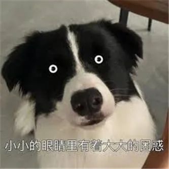 她的腿，啧啧啧！ - 炫图天下