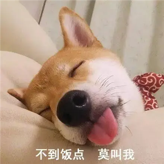 小众网红，被低估了！ - 炫图天下